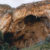130laura-pivauna-montagna-di-nutellasicilia-grotta-delluzzo