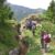 2011-e1-monte-grappa