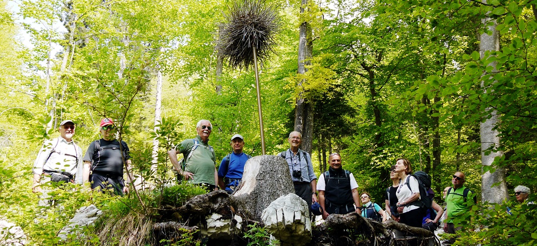 24 maggio sentiero SelvArt – Malga Erio