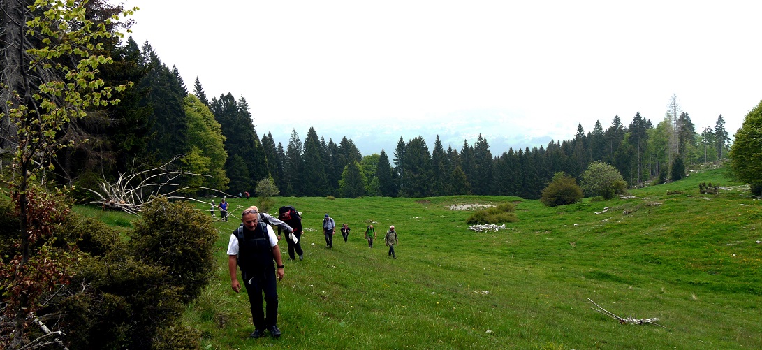 24 maggio verso Malga Erio – Roana