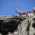 2023-09-8910-monviso-26