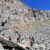 2023-09-8910-monviso-78a