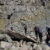 2023-09-8910-monviso-79