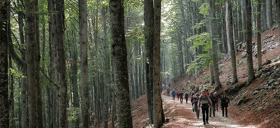 12 ottobre Bosco del Cansiglio