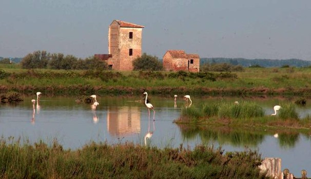 domenica 15 aprile 2018 - La perla del Delta, ieri il sale, oggi la biodiversità: la Salina di Comacchio
