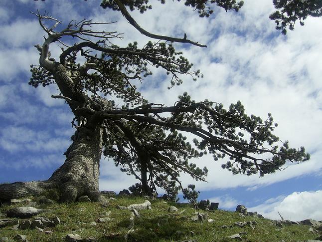 da mer 30 mag 2018 a dom 03 giu 2018 - Trekking nel parco del Pollino