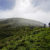 17-cima-lobbia-06-10-2022-081a