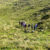 22-cima-lobbia-06-10-2022-094a