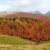 malga-casara-17a