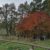 malga-casara-45a