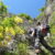 corso-esc-2013-ferrata-alpini-bismantova-2