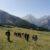 2023-08-24croda-rossa-cason-lerosa-2