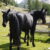 2023-08-24croda-rossa-cason-lerosa-3p