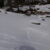 2024-01-21-malghe-di-proves-impronte-gallo-forcello-17
