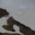 2021-05-01-eai-corno-alle-scale-40
