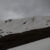 2021-05-01-eai-corno-alle-scale-49