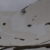 2021-05-01-eai-corno-alle-scale-56