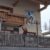 2024-03-17-eai-passo-valles-31