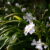 2024-04-11-mossano-14