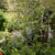 2024-04-11-mossano-15