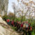 2024-04-11-mossano-19a