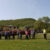 2024-04-11-mossano-29