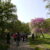 2024-04-11-mossano-30