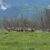 2024-05-09-corno-daquilio-6d