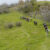 2024-05-09-corno-daquilio-7d