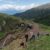 2024-06-13-rif-sette-selle-5