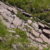 2024-07-04-passo-valles-rolle-17
