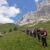 2024-07-04-passo-valles-rolle-21