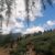 2024-07-04-passo-valles-rolle-36