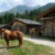 056silvia-grillandacavalli-a-planplanval-passiria