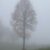 081beatrice-torrialberorecoaro-1000