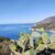 091tommaso-trombettatirreno-dallelbaisola-delba