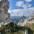 102rita-vassallirocce-erba-muschi-e-licheni-la-natura-a-2000-metrisfornioi-nord
