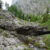 112gabriele-villapont-de-sassmondeval-piz-del-corvo