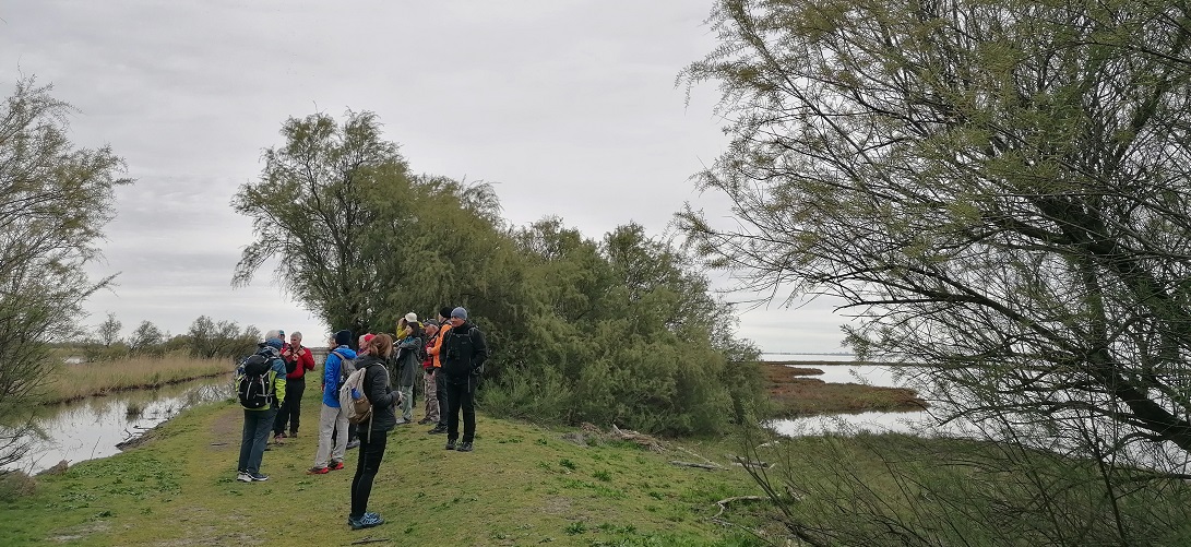 13 aprile lungo la lingua di terra di Bosco Forte