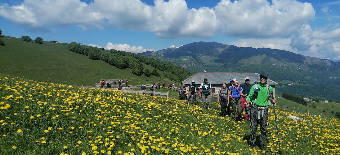 15 maggio Malga Vignola – Cima Vignola